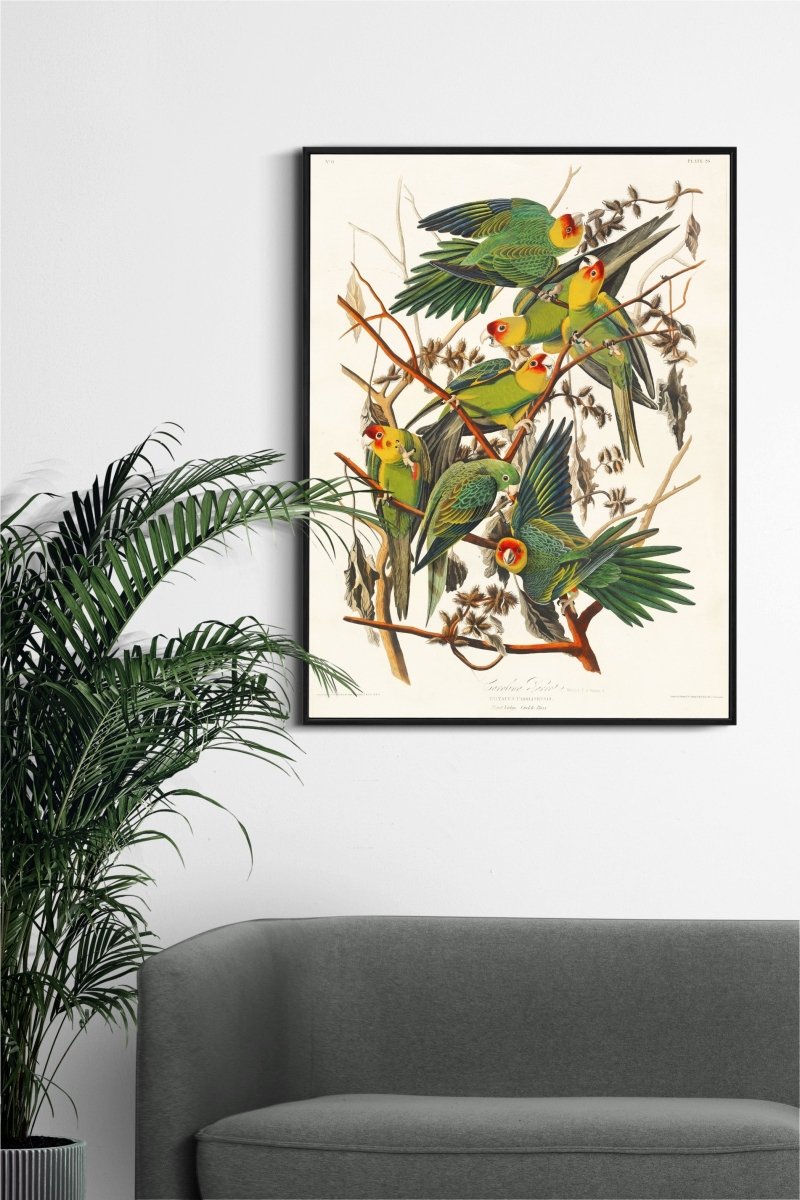 Colorful Parrots in Nature - KaigaCart