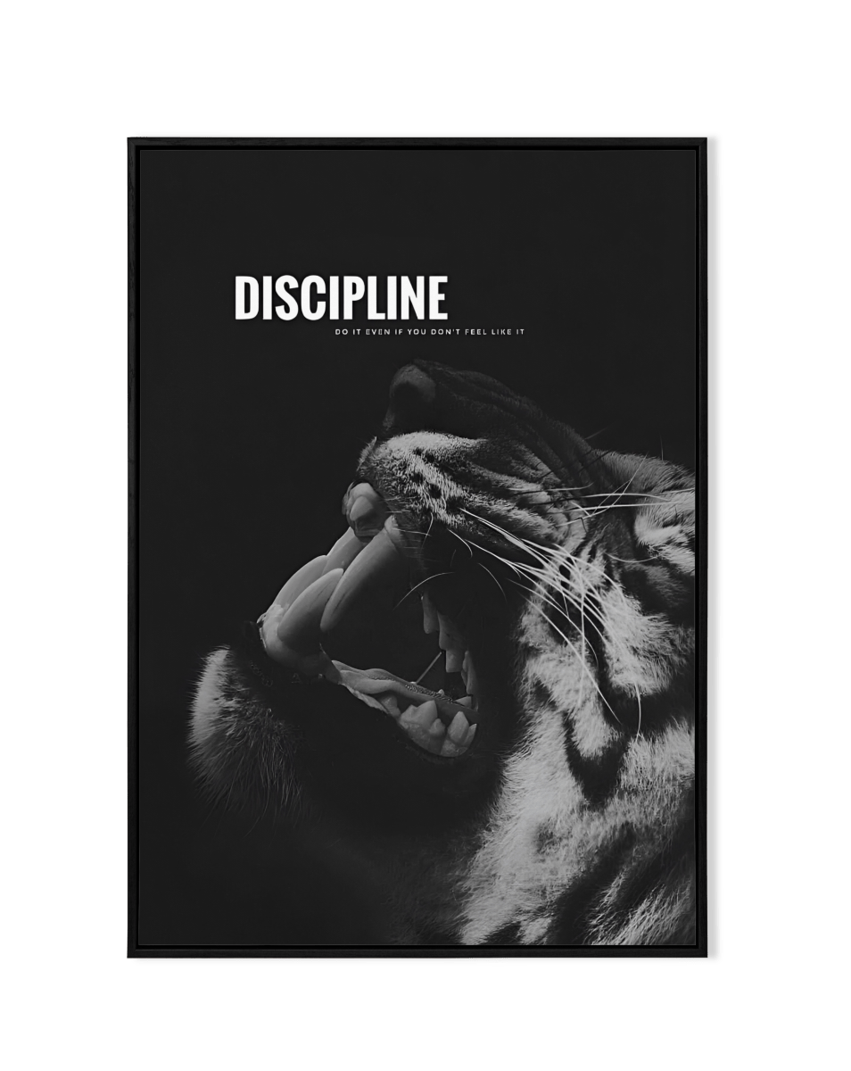 Discipline - KaigaCart