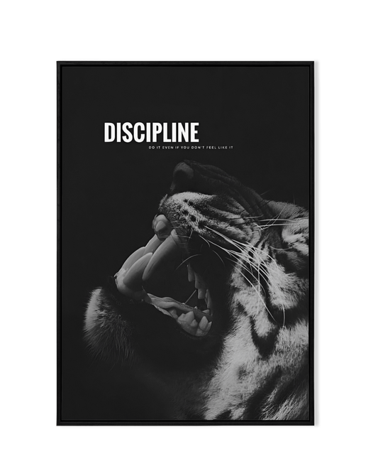 Discipline - KaigaCart