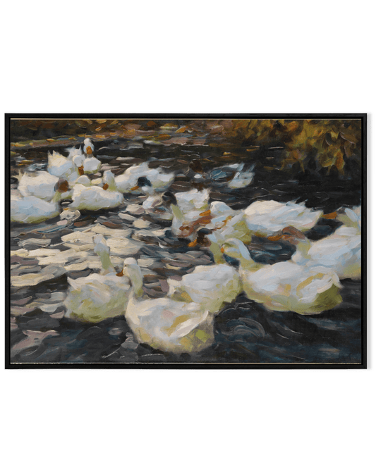 Ducks in the Evening Sun - KaigaCart