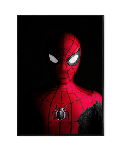 Spiderman: The Slinging Hero - KaigaCart