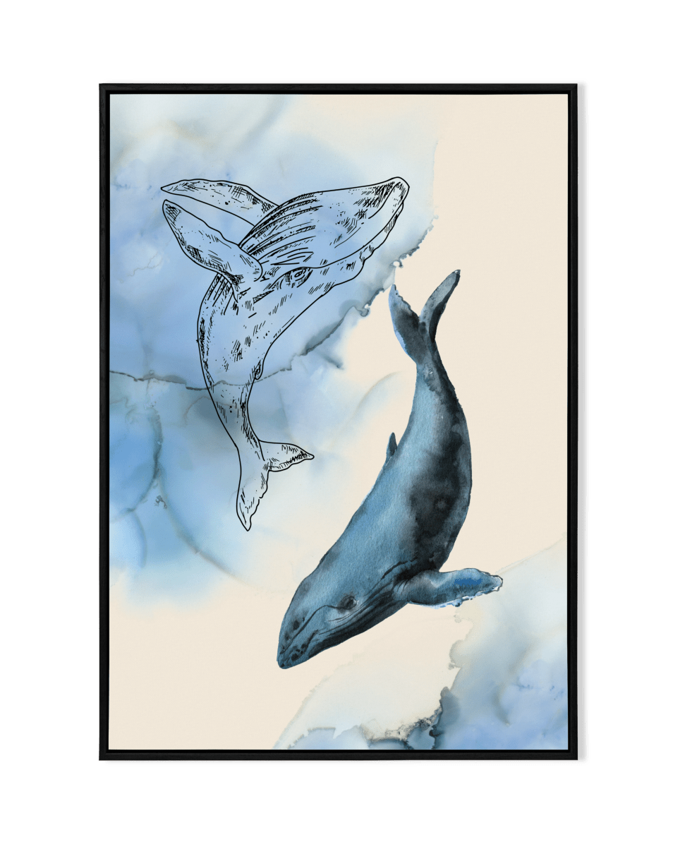 Whale Serenade - KaigaCart