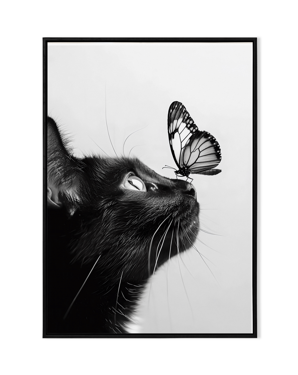 Whimsical Encounter of Cat & Butterfly