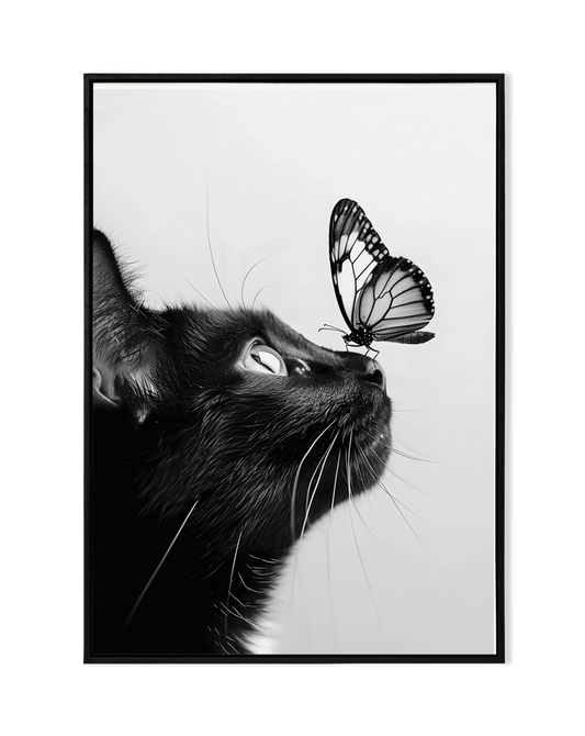 Whimsical Encounter of Cat & Butterfly